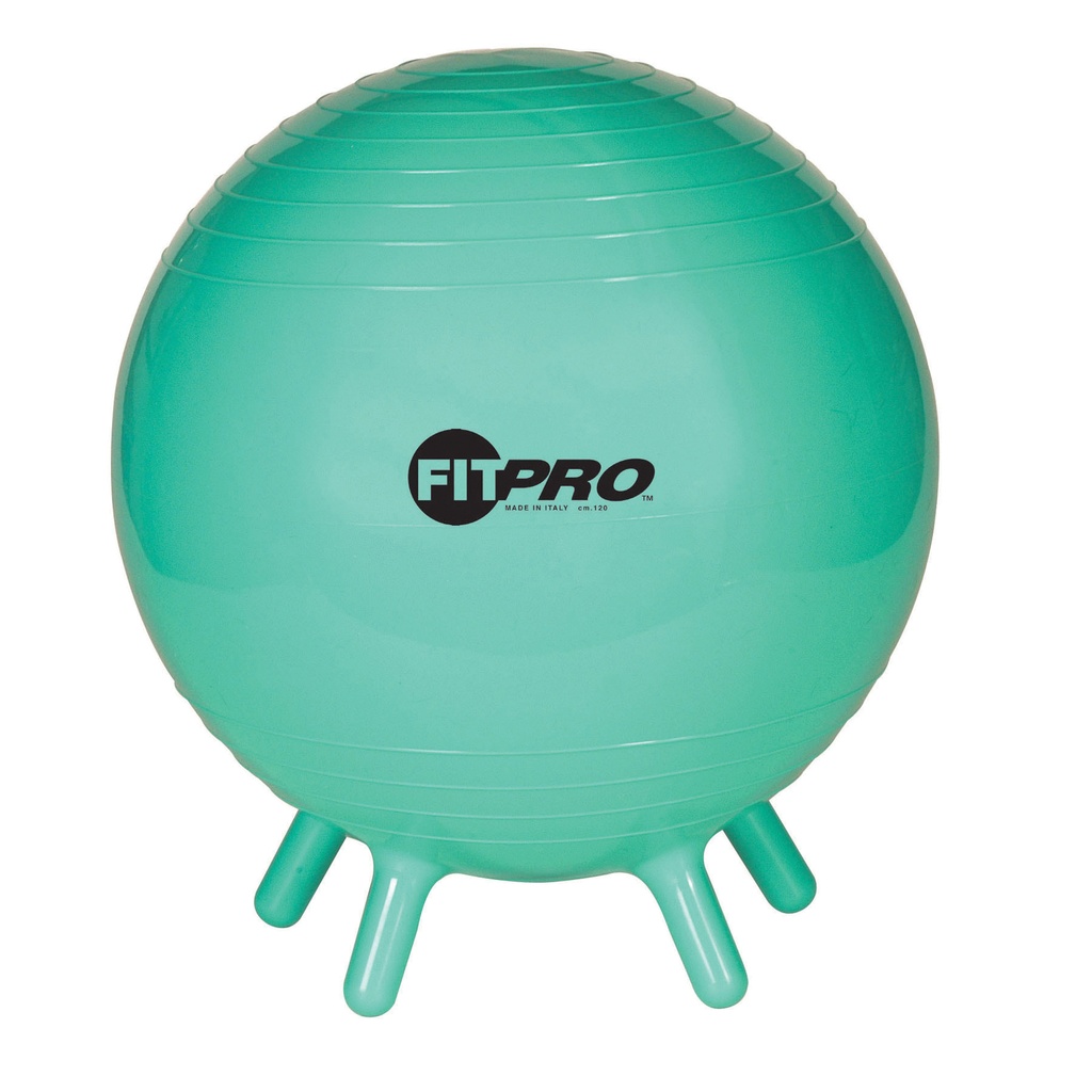 42cm FitPro Ball with Stability Legs