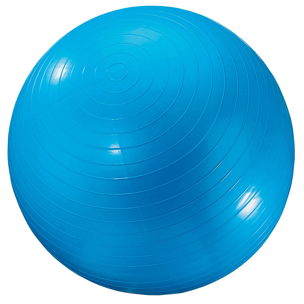 Blue 24" Exercise Ball