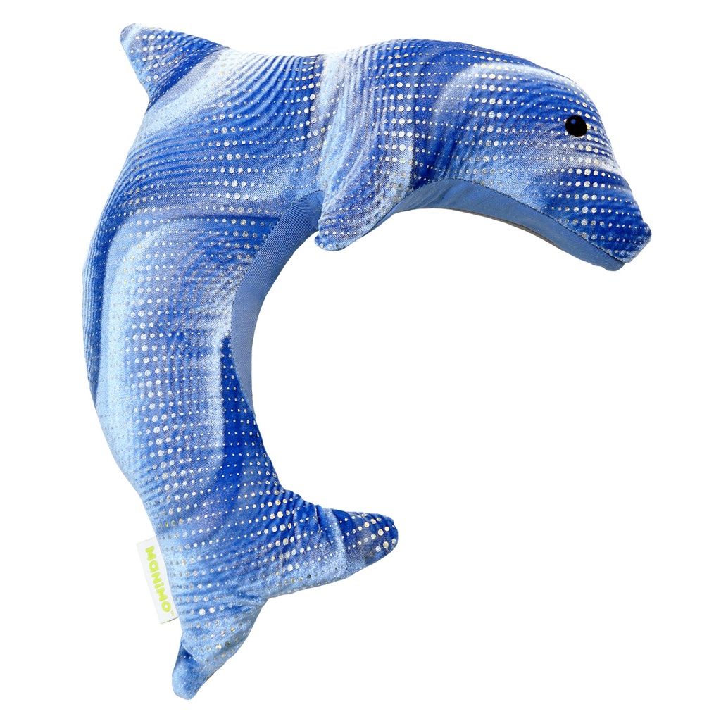 2 kg Weighted Dolphin Blue 