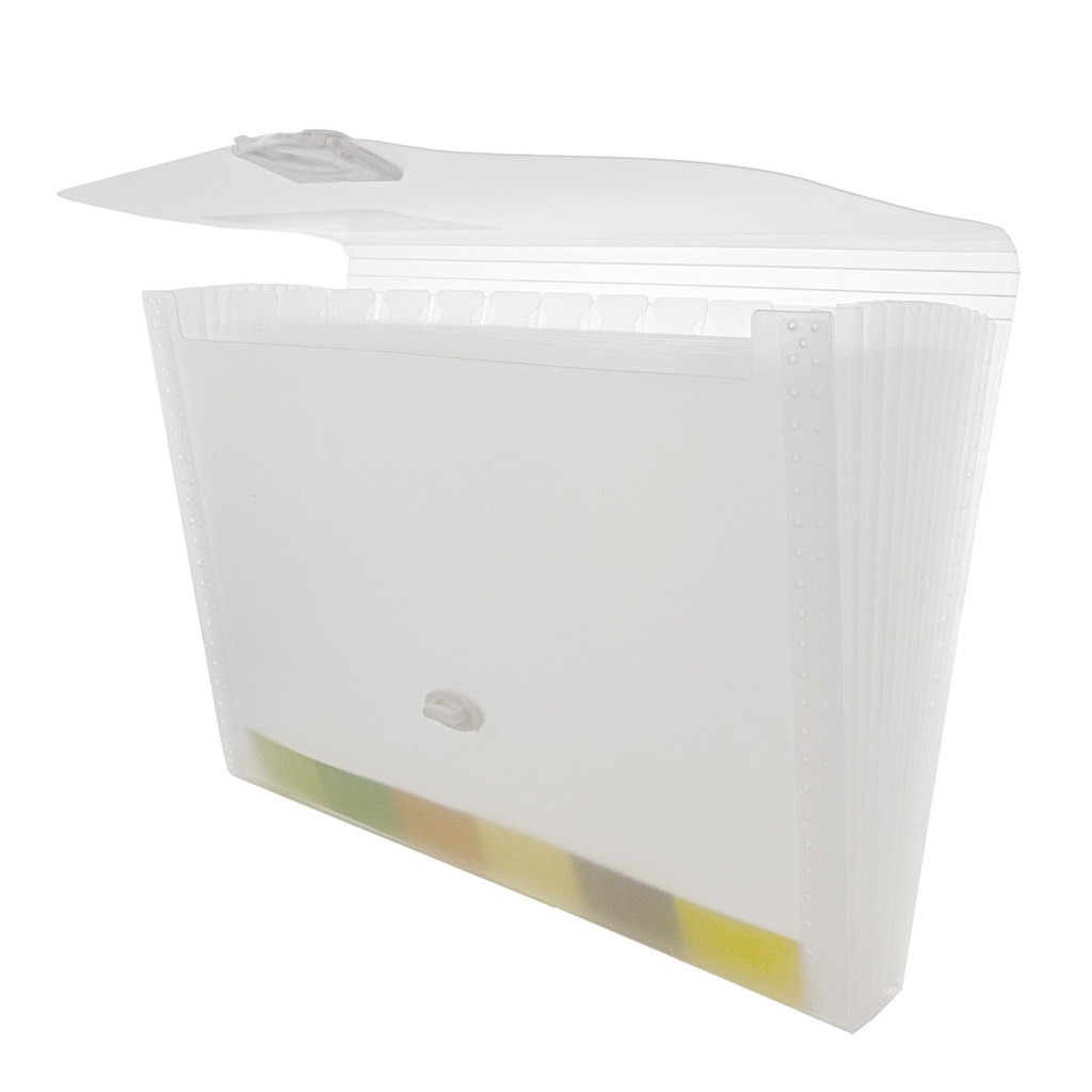 Translucent 13-Pocket Letter Size Poly Expanding File