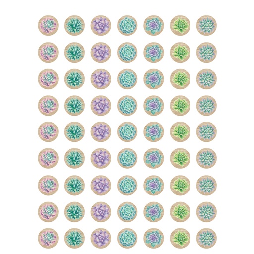 [8556 TCR] Rustic Bloom Succulents Mini Stickers