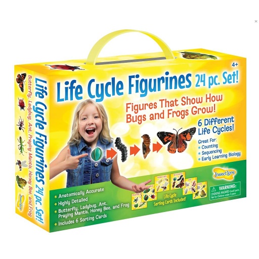 [2025 ILP] Life Cycle Figurines 24 Piece Set