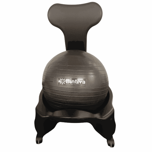 [2035 ESP] Stability Ball Chair Large Black