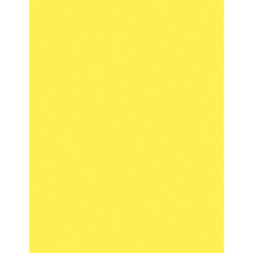 [102200 PAC] 500ct 8.5x11 Hyper Yellow Multi Purpose Paper