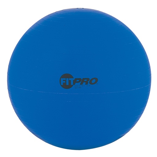 [FP53 CHS] Blue 53cm FitPro Training & Exercise Ball