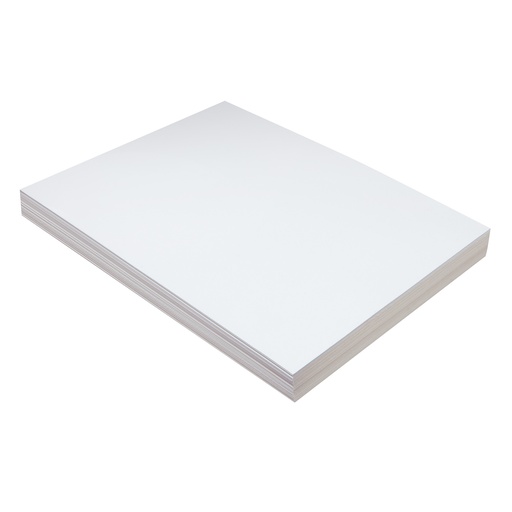 [5281 PAC] 9x12 Medium Weight White Tag 100 Count  Pack