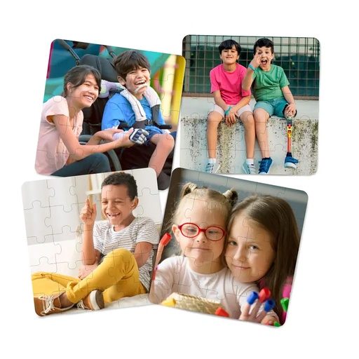 [35271 MIN] Inclusion Puzzles Set of 4