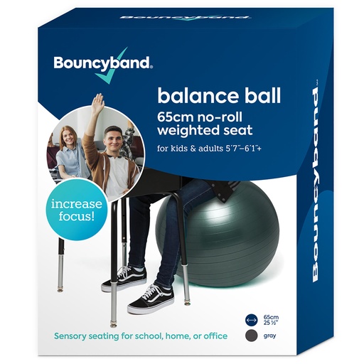 [WBS65GY BB] Balance Ball, 65cm, Dark Gray