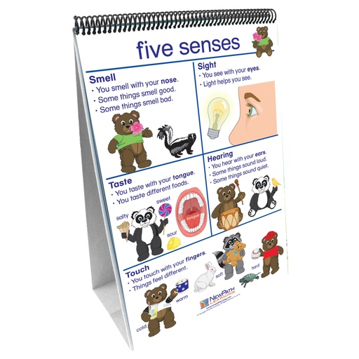 [340027 NP] Early Childhood Science Readiness Flip Chart, All About Me