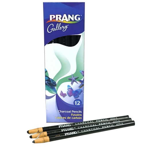 [60200 DIX] Peel Off Charcoal Pencil Pack of 12