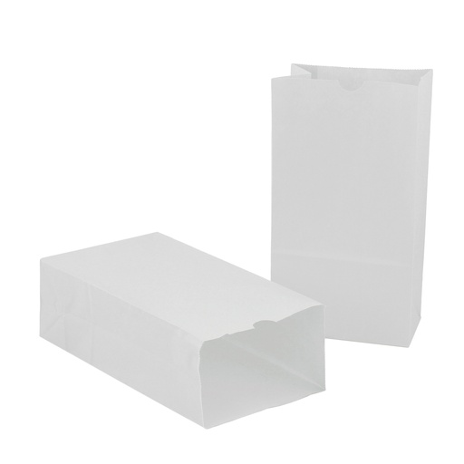 [66101 HG] White Large Gusseted Paper Bags 100/Pack