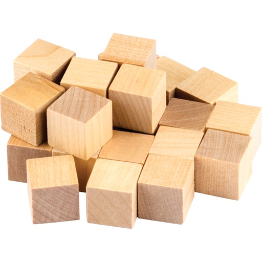 [20941 TCR] STEM Basics: Wooden Cubes