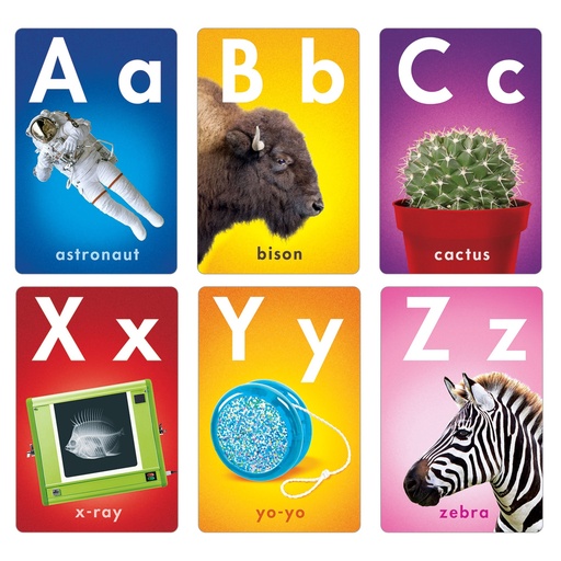 [19007 T] ABC Photo Fun Learning Set