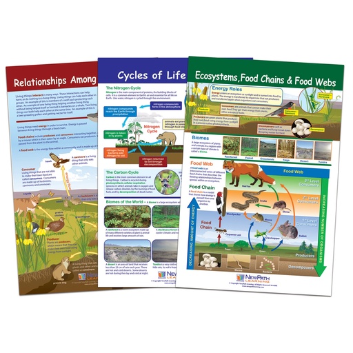 [947007 NP] Ecology Bulletin Board Chart Set Grades 3-5