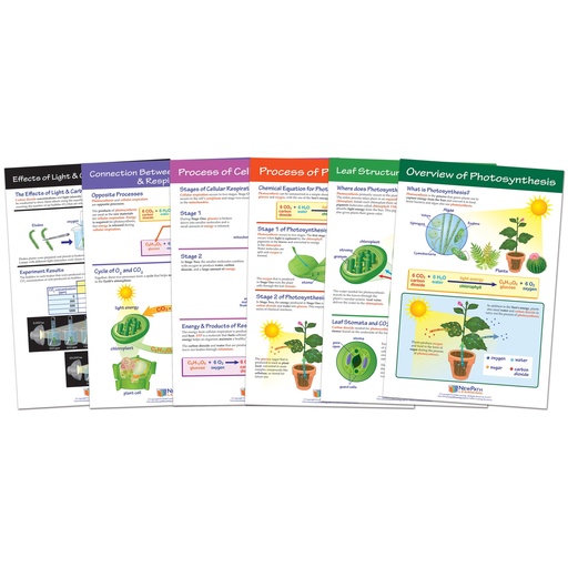 [947016 NP] Photosynthesis Bulletin Board Chart Set Grades 3-5