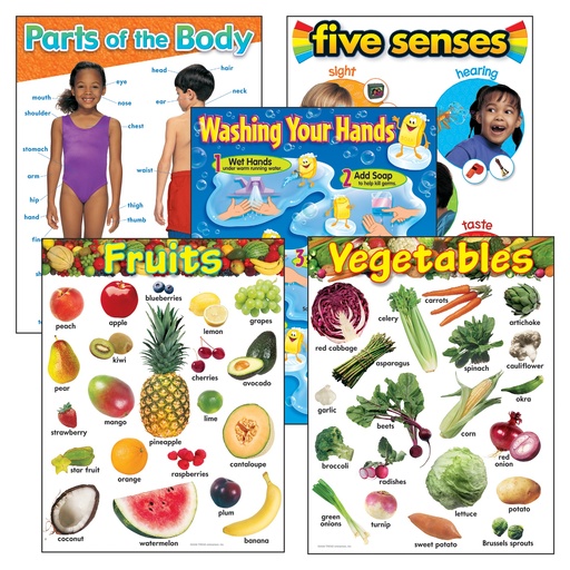 [38980 T] Healthy Living Learning Charts Combo Pack of 5