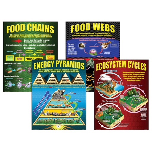 [P059 TCR] Ecosystems Posters Set of 4