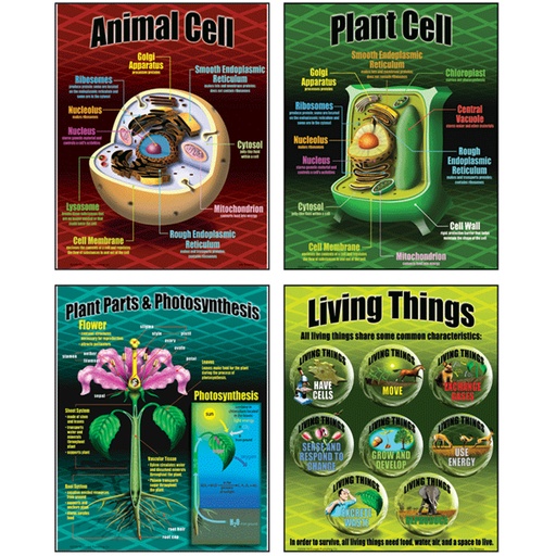 [P077 TCR] Life Science Posters Set of 4