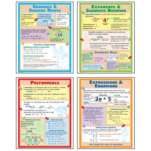 [P169 TCR] Algebra Posters Set of 4