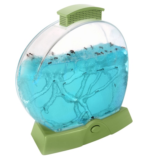 [5144 EI] Geosafari® Day 'N' Night Ant Farm