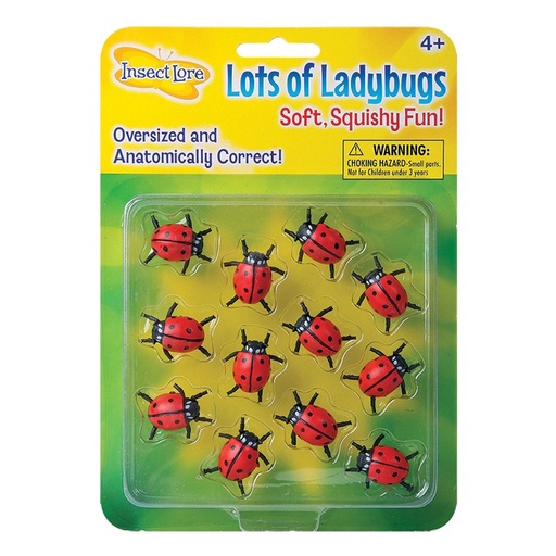 [4850 ILP] Lots Of Ladybugs