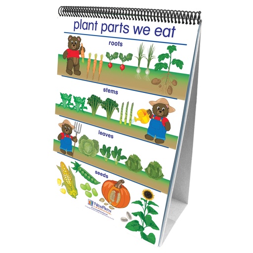 [340021 NP] All About Plants Early Childhood Science Readiness Flip Charts